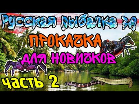 Видео: Русская рыбалка 3.99. Прокачка на Борнео. Часть 2