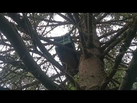 Видео: Отлично сработал маршрут 4