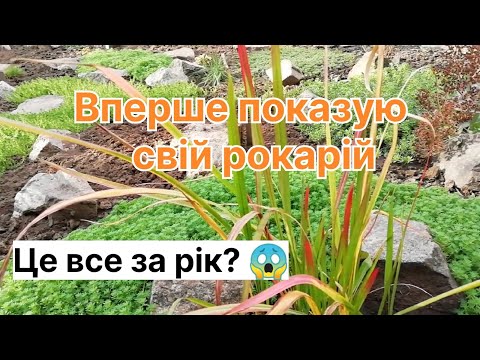 Видео: Прогулянка садом 🌸Вперше показую свій молодий рокарій💗 #сад #рокарій #рослини #садівництво