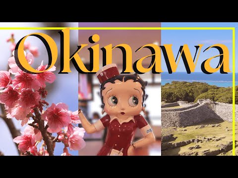 Видео: В Японии уже расцвела сакура 🇯🇵🌸