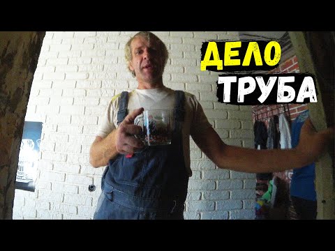 Видео: ДЕЛО ТРУБА/СТАРТУЕМ...