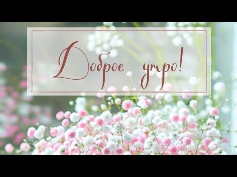 Видео: Доброе утро. 🥰Всегда улыбайся...пусть сердце  не плачет. Хорошего дня. 💖