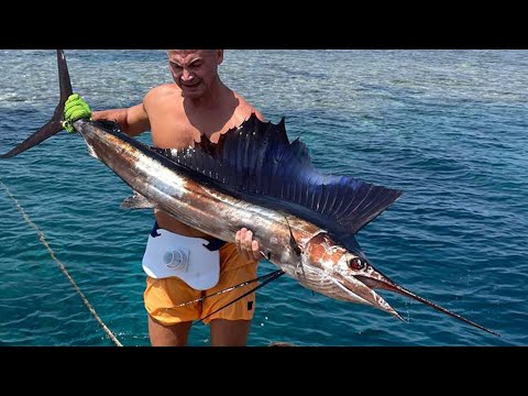 Видео: Рыбалка в Египте! Один Шанс на МИЛЛИОН! Поймал ПАРУСНИКА в с берега!