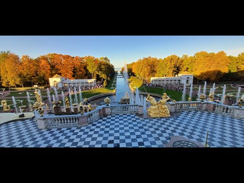 Видео: Осенний Петергоф. Дикий  восторг.