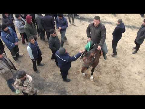 Видео: Екінші бөлім Сабиров Отептің тойы