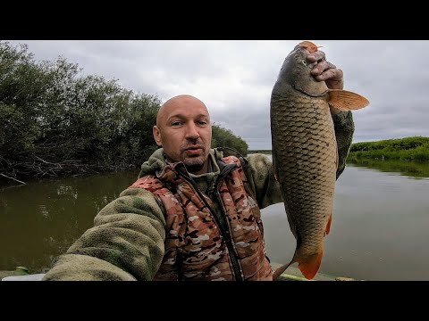 Видео: Тонны САЗАНА в болоте или ванна сазанов за час! Рыбалка с подводной камерой. Рыбалка на паук 2024.