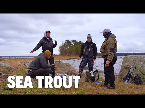 Видео: Идём по морю на остров за морской форелью. Вкусный обед на природе.