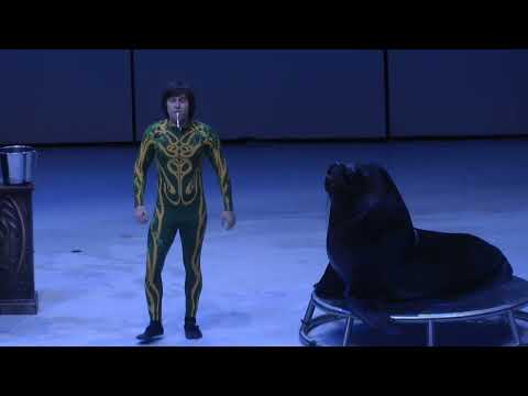 Видео: Кощей Москвариум Декабрь 2024 год