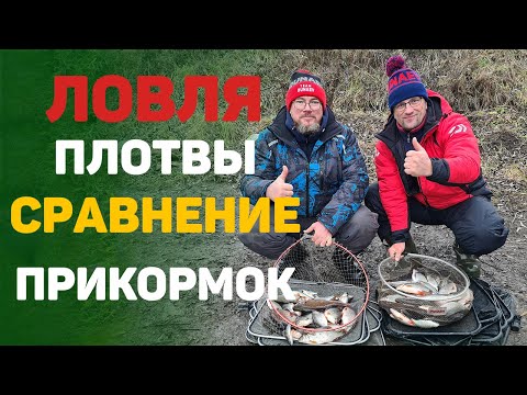 Видео: Ловля плотвы.  Какую прикормку выбрать на плотву перед ледоставом.