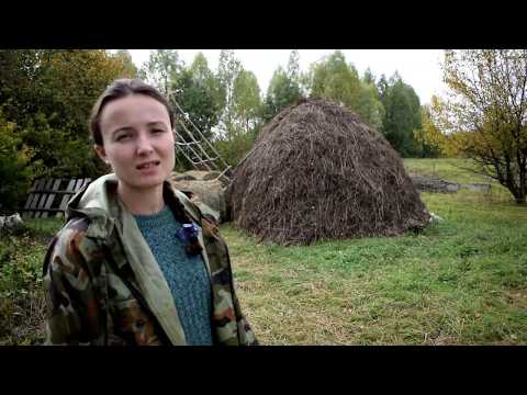 Видео: ЧТО СТАЛО С ХОЗЯЙСТВОМ?! КУДА ПРОПАЛИ?!