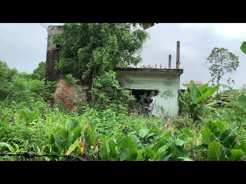 Видео: Помогите людям убрать заброшенный дом с заросшими сорняками - Чудесное преображение