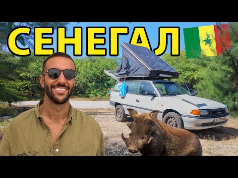 Видео: СЕНЕГАЛ // ИСТИНСКИ OFF-ROAD ПРЕЗ ДЖУНГЛАТА