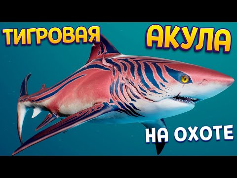 Видео: РЕАЛИСТИЧНАЯ ОХОТА АКУЛЫ ТИГРОВОЙ ( Maneater )