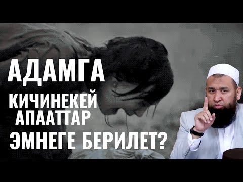 Видео: АДАМГА КИЧИНЕКЕЙ АПААТТАР ЭМНЕГЕ БЕРИЛЕТ?