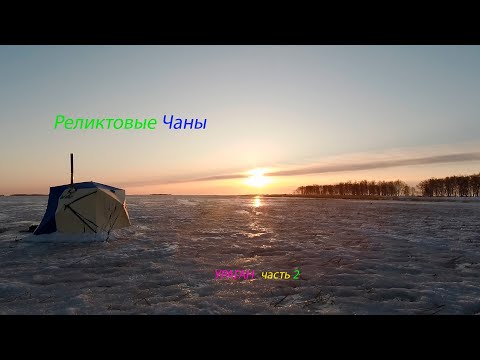 Видео: оз. Чаны, Попали с Рипусей в Ураган! 2 часть #рыбалкаскомфортом #чаны