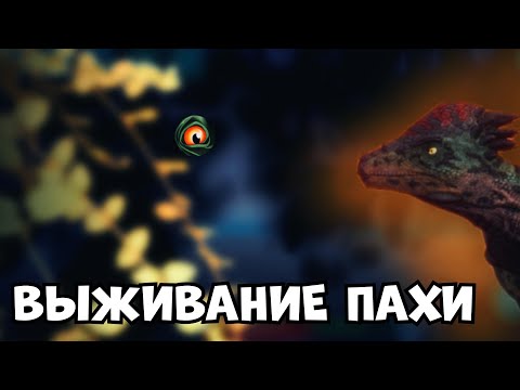 Видео: Выживание пахицефалозавра в The cursed dinosaur isle|Modjis