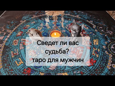 Видео: Сведет ли вас судьба еще раз?🤷 таро для мужчин