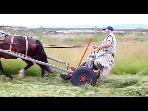 Видео: Экологический способ заготовки сена