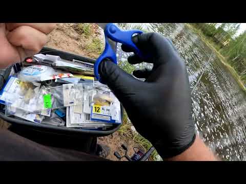 Видео: Батоны любят перловку,  плотва, поплавок и речка, отчёт № 310