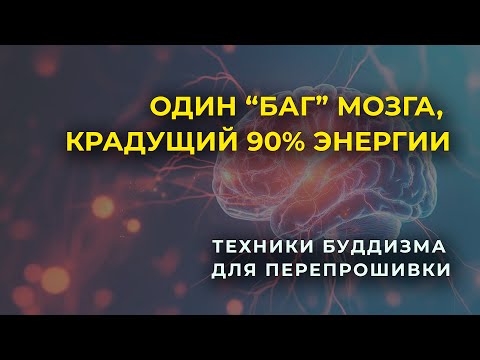 Видео: Один баг мозга, который крадет 90% вашей энергии