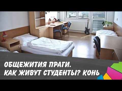 Видео: Общежития Праги. Как живут студенты в Чехии? Конь