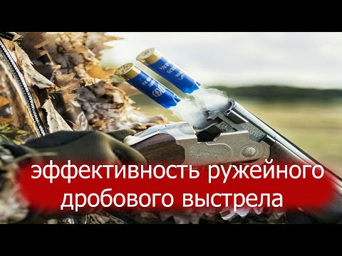 Видео: Эффективная дальность ружейного дробового выстрела. Как определить расстояние до летящей дичи.