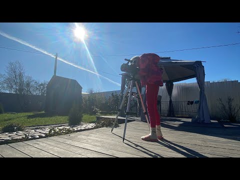 Видео: Осень 2022, подготовка к зиме, результат за сезон!