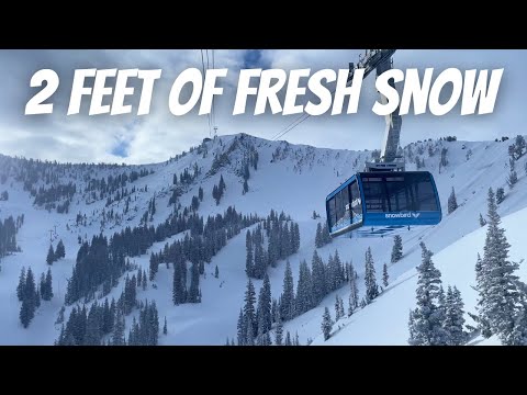 Видео: Мой первый опыт катания на лыжах SNOWBIRD