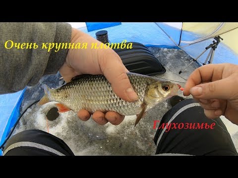 Видео: Ловля плотвы. Чудское озеро. Глухозимье. Советуем его посмотреть