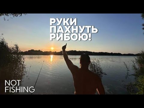 Видео: Руки пахнуть рибою!!!!!!