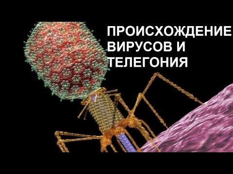 Видео: ПРОИСХОЖДЕНИЕ ВИРУСОВ И ТЕЛЕГОНИЯ