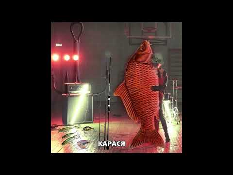 Видео: Джизус - я ловил карася (рыбацкий кавер unfissa)