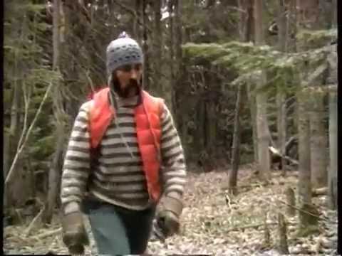 Видео: 6. Добыча ильки (куница-рыболов) (Eng)