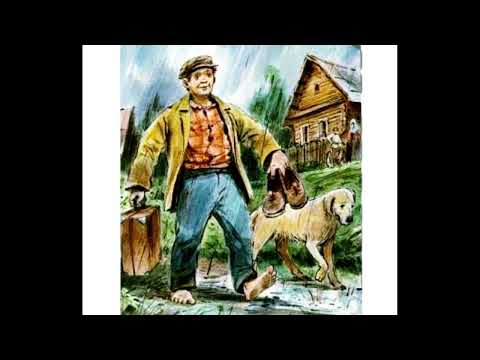 Видео: В. М. Шукшин. Рассказ "Чудик".