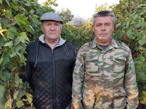 Видео: НА ВИНОГРАДНИКЕ У ДРУГА! 🍇🍇🍇 часть 2 09.10.2023.Тел.+79054033245, WhatsApp и Viber +79528500417.