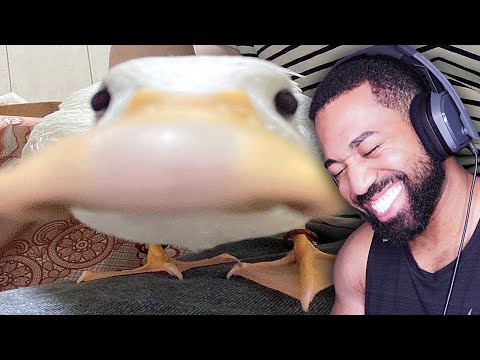 Видео: ЕСЛИ ТЫ УЛЫБНЕШЬСЯ, ТЫ ПРОИГРАЛ | Мемы, которые я случайным образом раздаю людям!