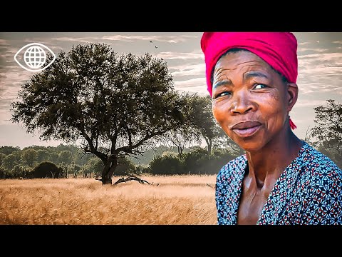 Видео: Ботсвана — африканский рай между пустынями, дельтами и традициями — Документальный фильм