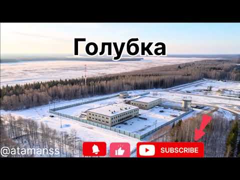 Видео: Песня. ,,Голубка’’