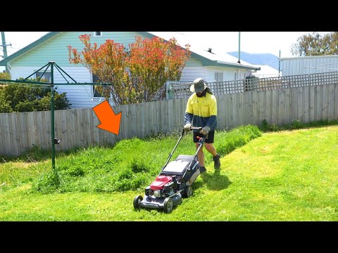 Видео: У арендатора ОТВАЛА ЧЕЛЮСТЬ, когда я отдал ТЫСЯЧИ в Моинге!