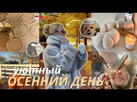 Видео: МОЙ уютный ОСЕННИЙ ДЕНЬ🧸 | покупки, декор дома, готовим БРАУНИ