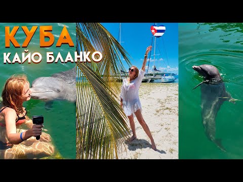 Видео: Отдых на Кубе. Экскурсия на остров Кайо Бланко. Поцелуй с дельфином
