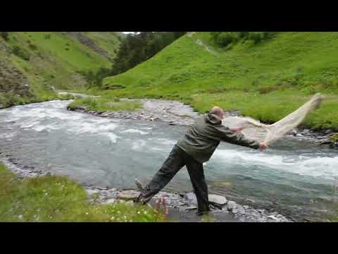 Видео: Горная рыбалка в Тушети с Давидам Гиголашвили))