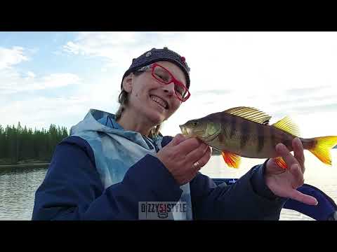 Видео: Удачная Рыбалка / Второй Трофей и куча окуней / ВТВ Август 2023 #рыбалка #кольский #dizzy51style
