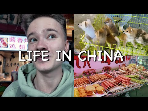 Видео: [Влог] Китайский Стрит-фуд и не только! 🇨🇳