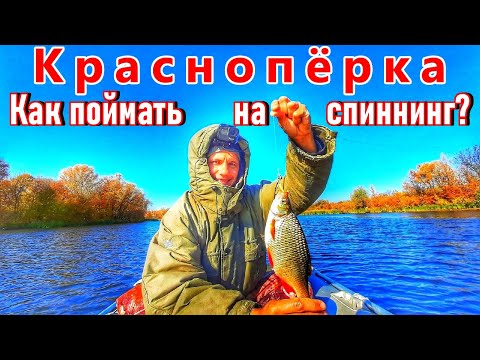 Видео: КРАСНОПЁРКА/ЛОВЛЯ КРАСНОПЁРКИ НА МИКРОДЖИГ НА ВОЛГЕ/Полная инструкция + советы!