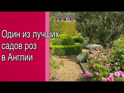 Видео: Vlog 484 - Два сезона Английского сада. Обзор сада роз