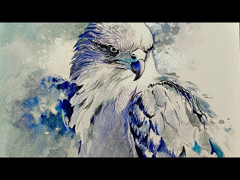Видео: Как нарисовать сокола | Акварельное искусство птиц