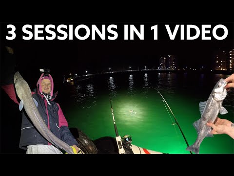 Видео: Рыбалка с кальмара, окуня и угрей с надувной лодки | Портсмут | Лодочная рыбалка в Великобритании