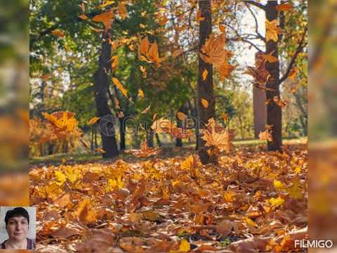 Видео: Ознайомлення з соціумом ''Падають, падають золоті листочки ''