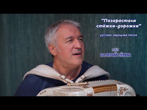 Видео: Песня под баян от ВАЛЕРИЯ СЁМИНА "Позарастали стёжки-дорожки" ❤️ Страстно и красиво!